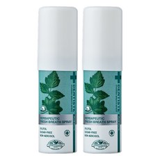 덴티스테 브레스 구강스프레이, 15ml, 2개