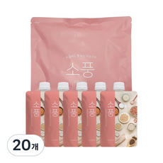 소풍 미숫가루, 20개, 40g