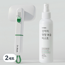 닥터블랭크 저자극 영양보습 미스트 플럼레인향 150ml + 에어소프트 슬리커 브러쉬 세트, 2세트