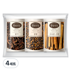 한방선생 뱅쇼 샹그리아 재료 세트, 4세트, 300g