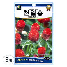 다농 천일홍 대화선홍색 씨앗 100립, 3개