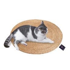 DING DONG PET 貓咪柔軟圓形貓抓墊, 1個, 單一顏色