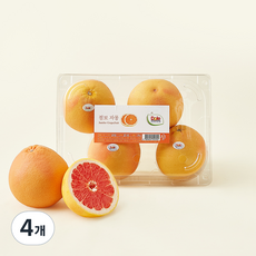 돌 남아공산 점보 자몽 4개입, 1.6kg, 4개