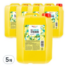 탐사 상큼한 레몬 주방세제, 14kg, 5개