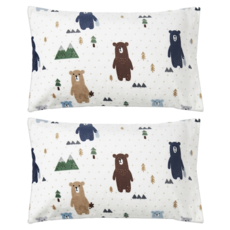 BUHO 布歐 極柔暖法蘭絨美式信封枕頭套 2件