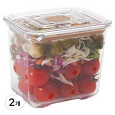 prepara 브루클린 트라이탄 밀폐용기 베이지 2-5호 990ml, 2개, 단품