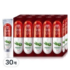 2080 진지발리스 잇몸치약 스트롱민트 유칼립투스향, 150g, 30개