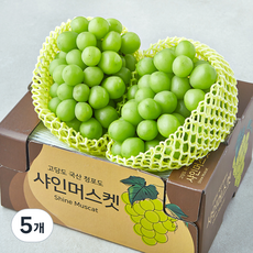 한들 당도선별 샤인머스캣, 5개, 1.5kg