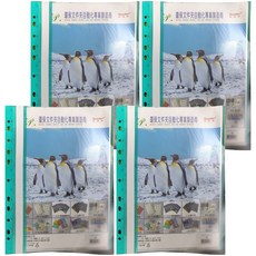 Seeder 新德牌 11孔30入資料簿_綠, 綠, 4本