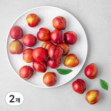 가족 의성 당도선별 자두, 1kg (특대), 2개