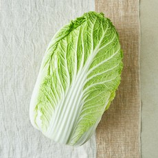 무농약 인증 포기 배추, 1개입, 1개