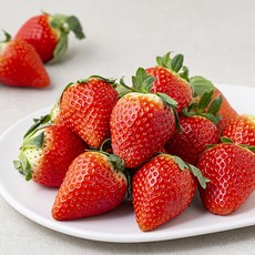 곰곰 하이베리 딸기, 500g, 1팩