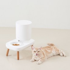 DUIT 더테이블 플러스 자동급식기 + 그릇 M + 우드 긴 다리, 3L, 혼합색상, 1세트