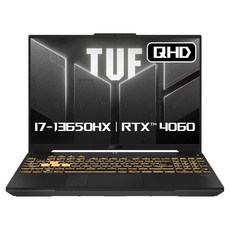 에이수스 2024 TUF 게이밍 F16 코어i7 인텔 13세대 지포스 RTX 4060, Mecha Gray, 512GB, 32GB, Free DOS, FX607JV-QT213