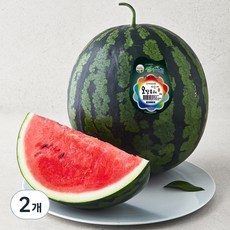 생거진천 덕산 꿀수박, 5kg이상, 2개