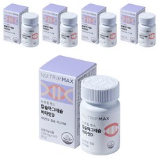 뉴트립 칼슘마그네슘 비타민D 1000 mg, 60정, 5개