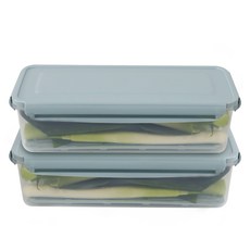 나누담 파 대파 야채 채소 보관 밀폐용기, 2개, 1.7L