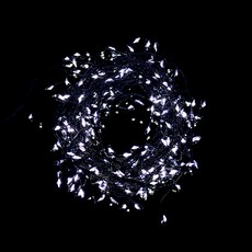 Dawoo F&G NEW LED蜈蚣燈串 200球 6m 黑白線 透明, 黑線 透明, 1個