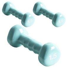 아이워너 PVC 삼각 아령, 1.5kg, 3개