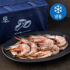 살맛나요 서해안 제철에 잡아 급냉한 자연산 대하 왕새우 선물세트 (냉동), 1개, 1.6kg