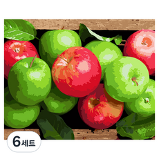 플레이어바웃 DIY 유화 그림그리기 세트 40 x 50 cm, 행운의 사과(MG233), 6세트