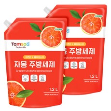 탐사 구연산 자몽 주방세제 리필, 1.2L, 2개