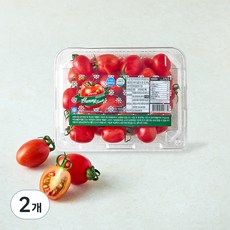야미 스테비아 대추방울토마토, 450g, 2개