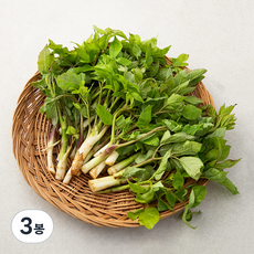 국내산 땅두릅, 200g, 3봉