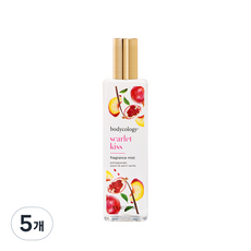 바디콜로지 바디 미스트 스칼렛 키스 프레그런스, 237ml, 5개