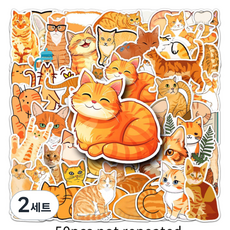 특별한 상점 방수 pvc 스티커 노트북 캐리어 다이어리 꾸미기 50종 세트, 오렌지 캣, 2세트