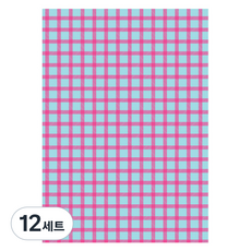 아이씨엘디자인 6공 리필 뉴트로체크 속지 PINKBLUE 32p 세트, 12세트