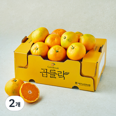 농협 곱들락 감귤, 2kg(랜덤과), 2개