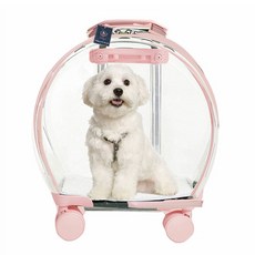 딩동펫 반려동물 버블투명 하드 캐리어, 핑크, 1개
