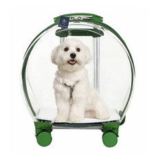 DING DONG PET 寵物泡泡透明硬殼外出提籠, 綠色, 1個