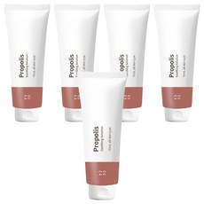 2SOL 프로폴리스 수딩 솔루션 젤, 5개, 70ml