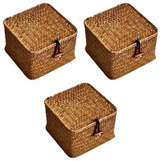 댓츠댓 웨빙 뚜껑형 정사각 라탄 수납 바구니, 브라운, 3개