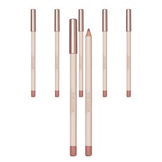 더샘 커버 퍼펙션 립 펜슬 2g, 01 니어, 6개