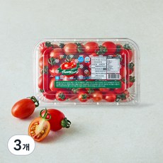 야미 스테비아 대추방울토마토, 1kg, 3개