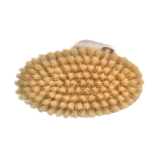 Braun Wettberg 珀薇 德國白豚鬃沐浴清潔刷, 單色, 1個