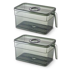 벨로비 다이얼 냉장고 수납 정리 트레이 2p, 다크그린, 2개