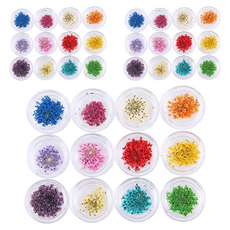Tenezer乾燥花壓花造型美甲裝飾品 12件組, 混合色, 3個