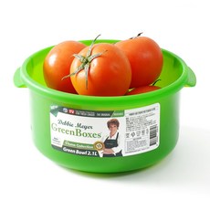 데비마이어 홈콜렉션 그린볼, 1개, 2.1L