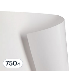 아트지 100g, B4, 750개