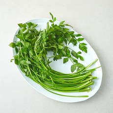 국내산 한재 미나리, 1개, 200g