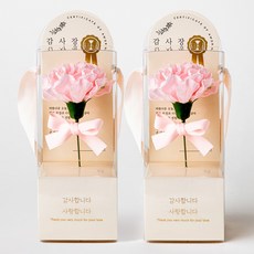 Beautiful Deco Sense 香皂花單枝感謝卡康乃馨2件組, 粉紅色, 1個