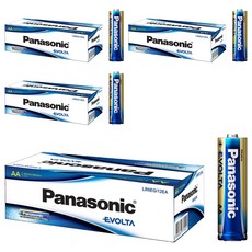 Panasonic Evolta Premium 鹼性AA電池, 12入, 4個