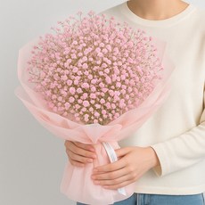 앙플랜트 조화 안개꽃 부쉬 성묘 꽃다발 2p, 핑크, 1세트