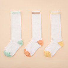 BASE ALPHA ESSENTIALS 兒童粉彩網眼及膝襪 3件組