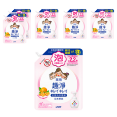 LION 獅王 趣淨 洗手慕斯補充包 清爽柑橘, 450ml, 6包