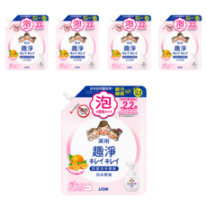 LION 獅王 趣淨 洗手慕斯補充包 清爽柑橘, 450ml, 5包